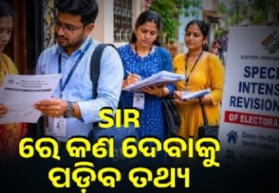 ଆପଣଙ୍କ ଘରକୁ ଆସିବେ ବିଏଲଓ, କଣ ପଚାରିବେ ଜାଣିରଖନ୍ତୁ ଆପଣଙ୍କ ଘରକୁ ଆସିବେ ବିଏଲଓ, କଣ ପଚାରିବେ ଜାଣିରଖନ୍ତୁ