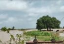 ଚିଲିକାରେ ପ୍ରବେଶ କଲା ପ୍ରଥମ ବନ୍ୟାଜଳ, କମୁଛି ଜଳବନ୍ଦୀଙ୍କ ଚିନ୍ତା