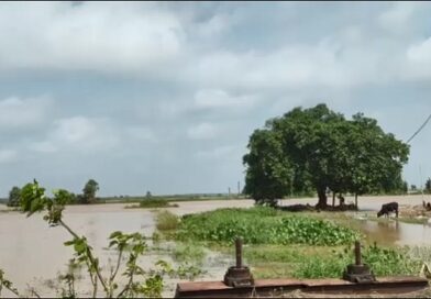 ଚିଲିକାରେ ପ୍ରବେଶ କଲା ପ୍ରଥମ ବନ୍ୟାଜଳ, କମୁଛି ଜଳବନ୍ଦୀଙ୍କ ଚିନ୍ତା